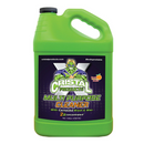 Cristal x wash and wax