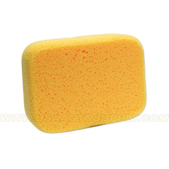 Large Sponge